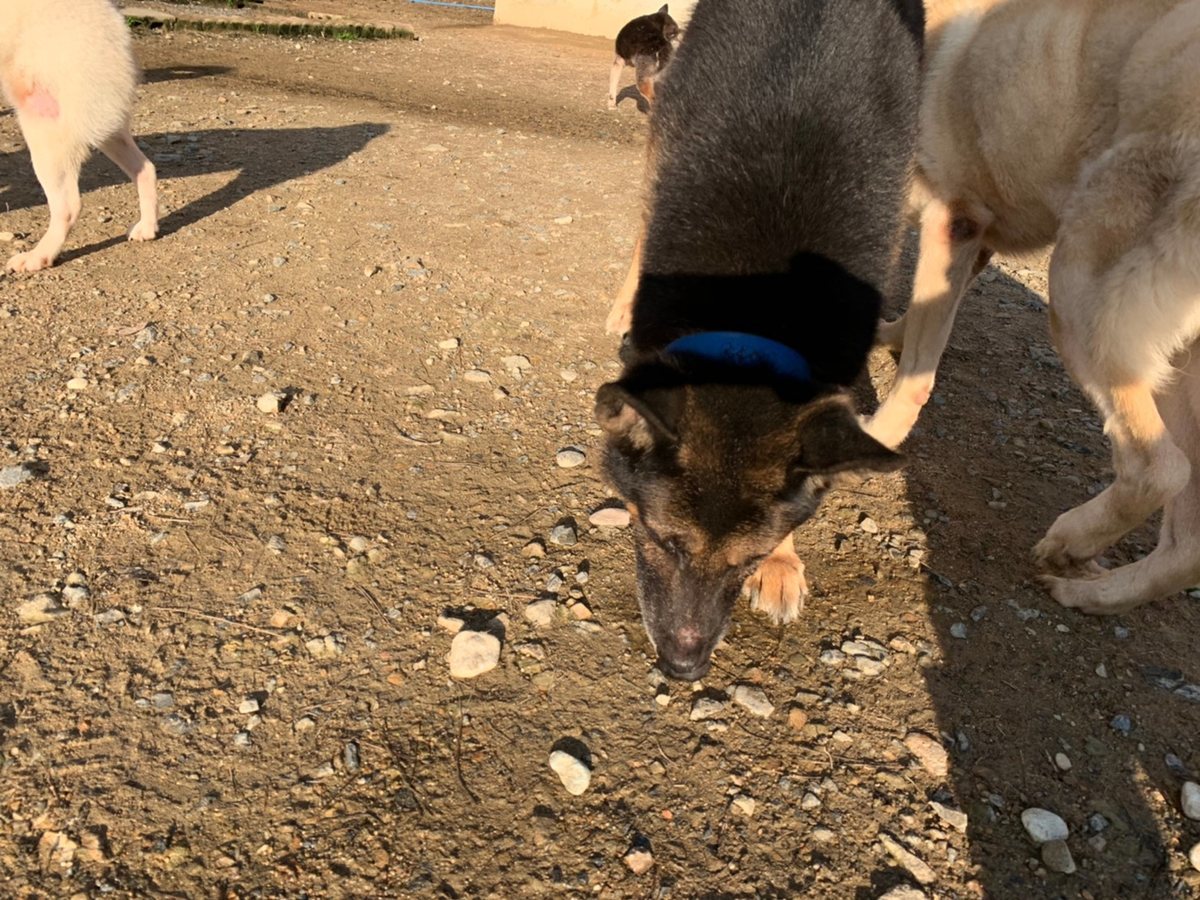 f:id:roukenhome-ann:20191027062618j:plain