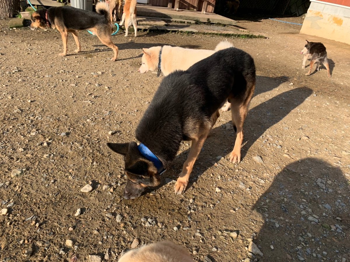 f:id:roukenhome-ann:20191027062628j:plain