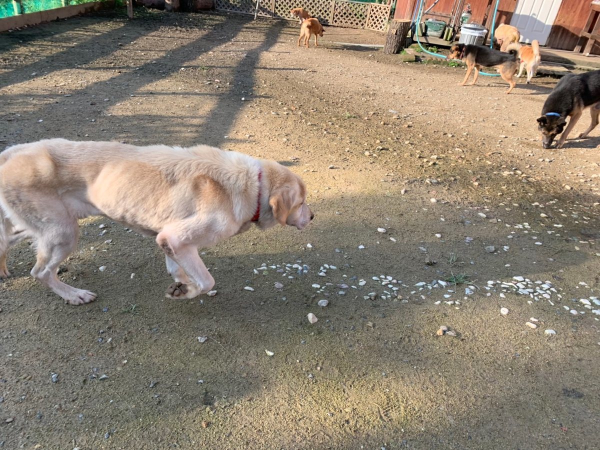 f:id:roukenhome-ann:20191027062636j:plain