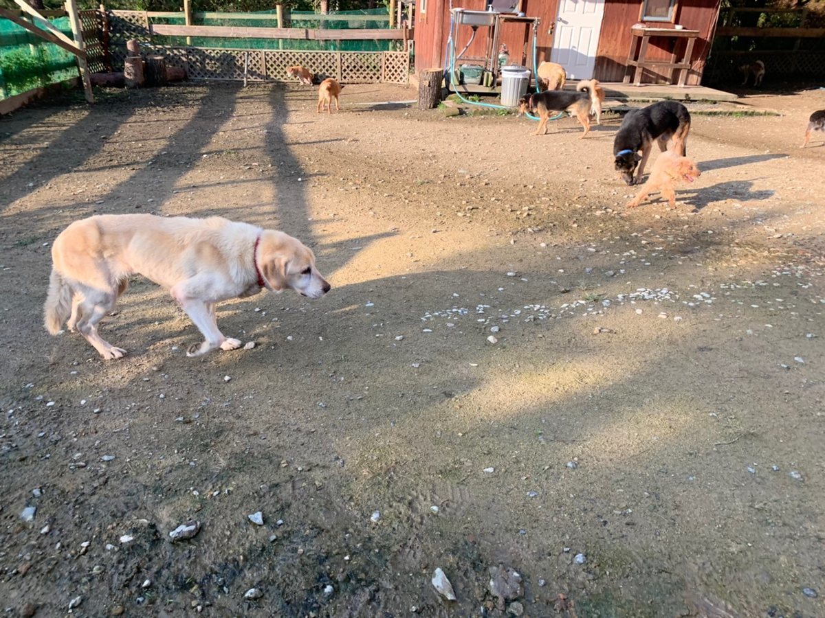 f:id:roukenhome-ann:20191027062648j:plain