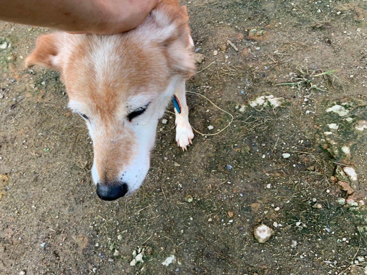 f:id:roukenhome-ann:20191027062656j:plain