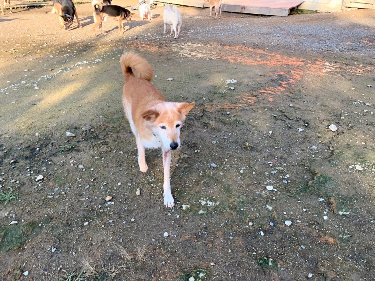 f:id:roukenhome-ann:20191027062707j:plain