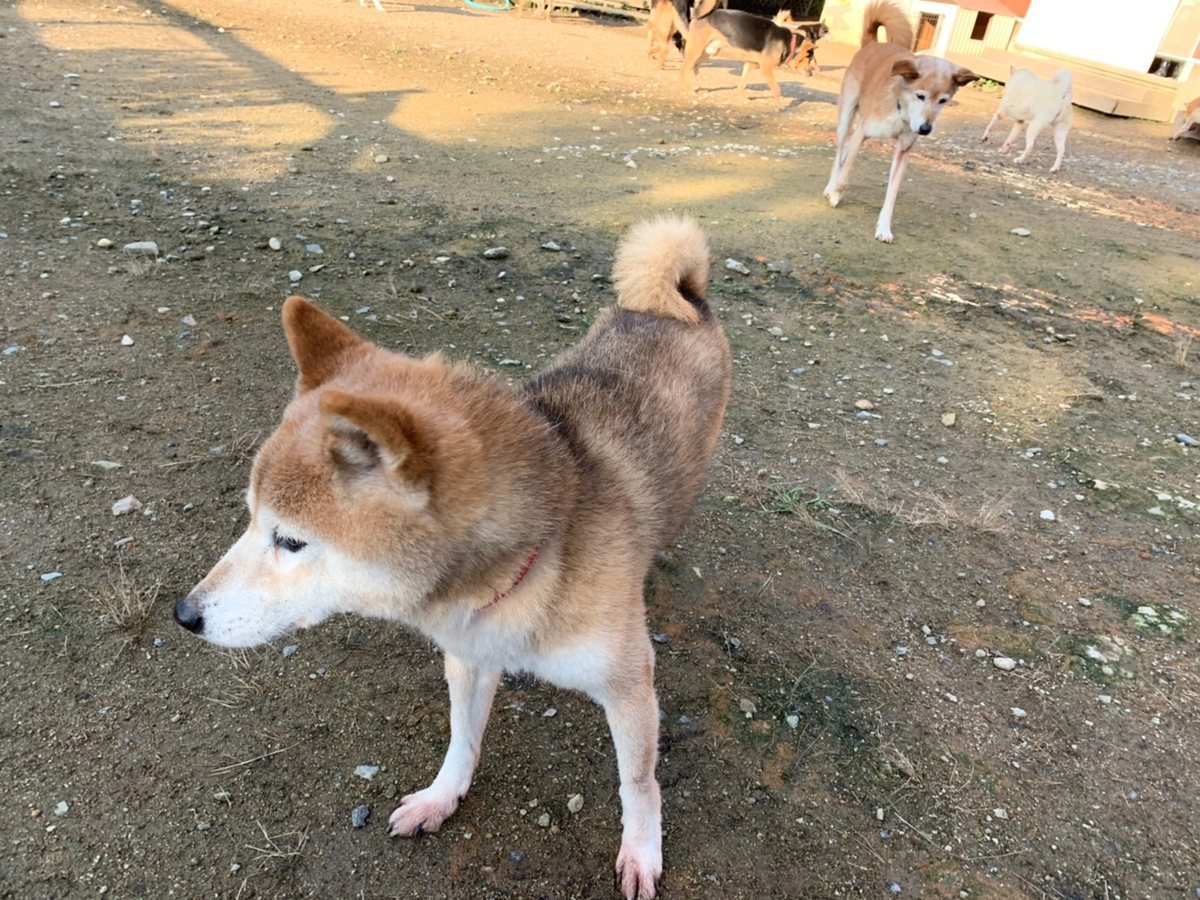 f:id:roukenhome-ann:20191027062715j:plain