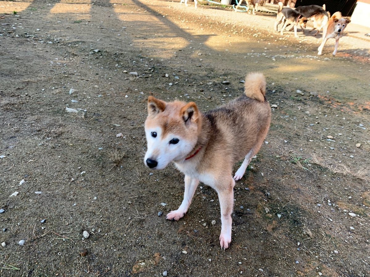 f:id:roukenhome-ann:20191027062727j:plain