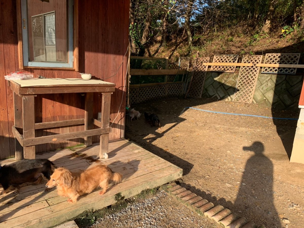f:id:roukenhome-ann:20191027062741j:plain