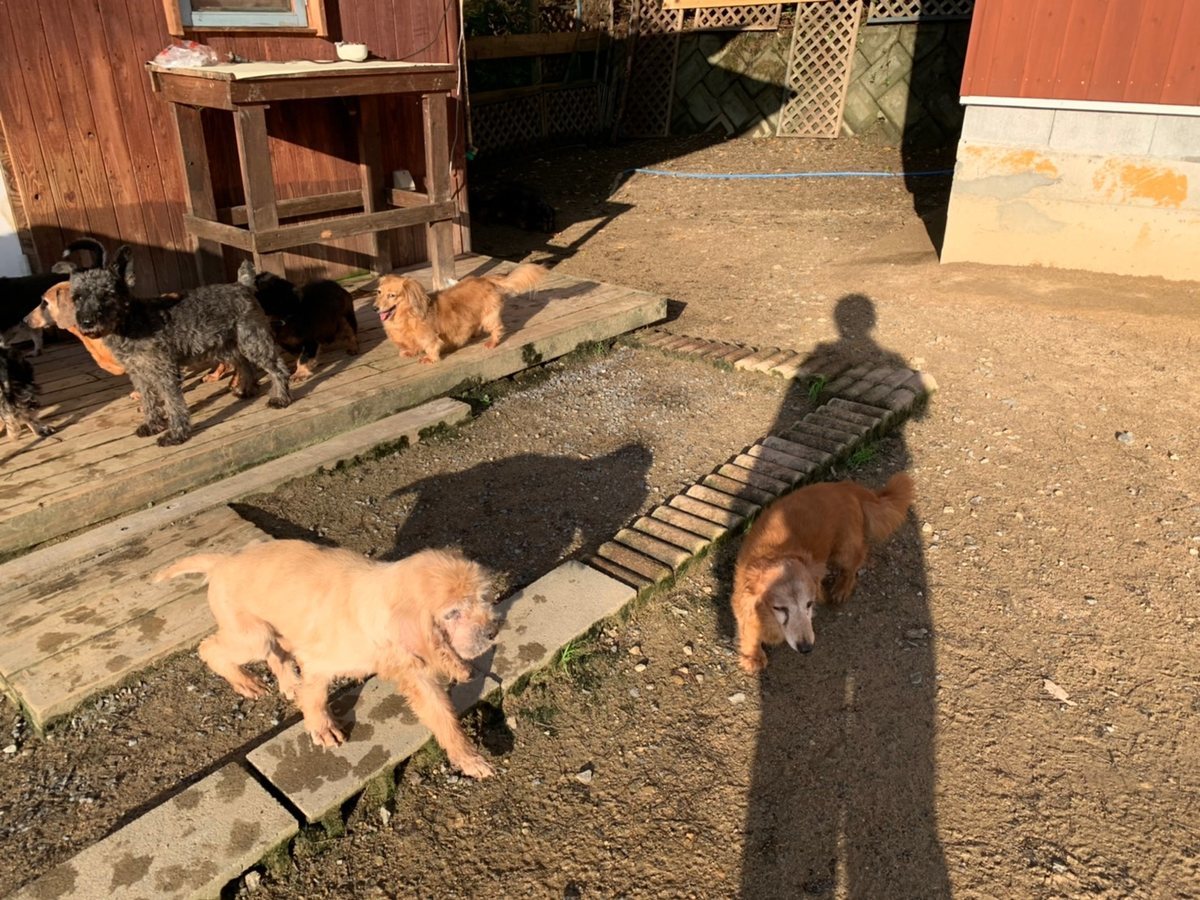 f:id:roukenhome-ann:20191027062752j:plain
