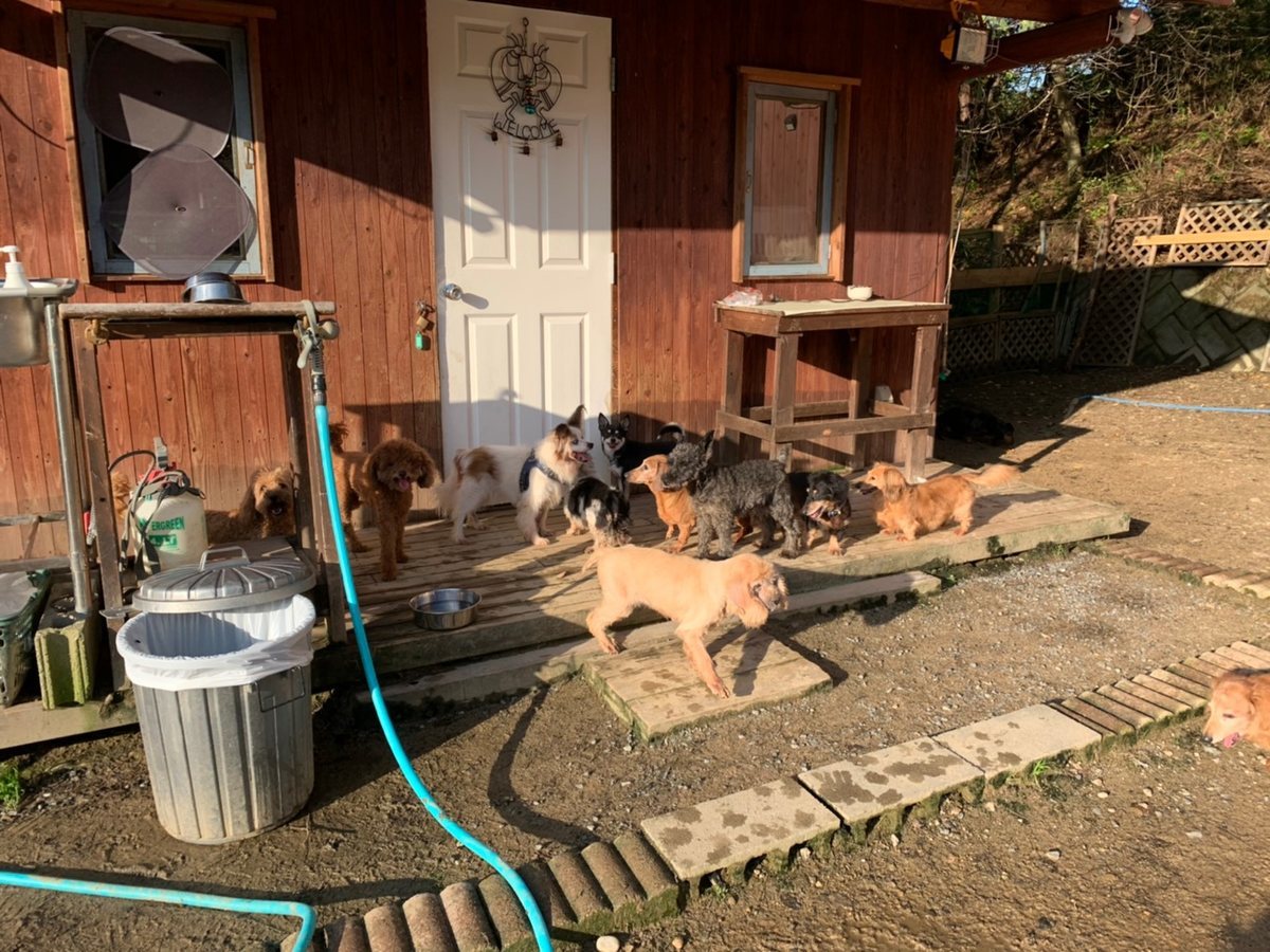 f:id:roukenhome-ann:20191027062801j:plain