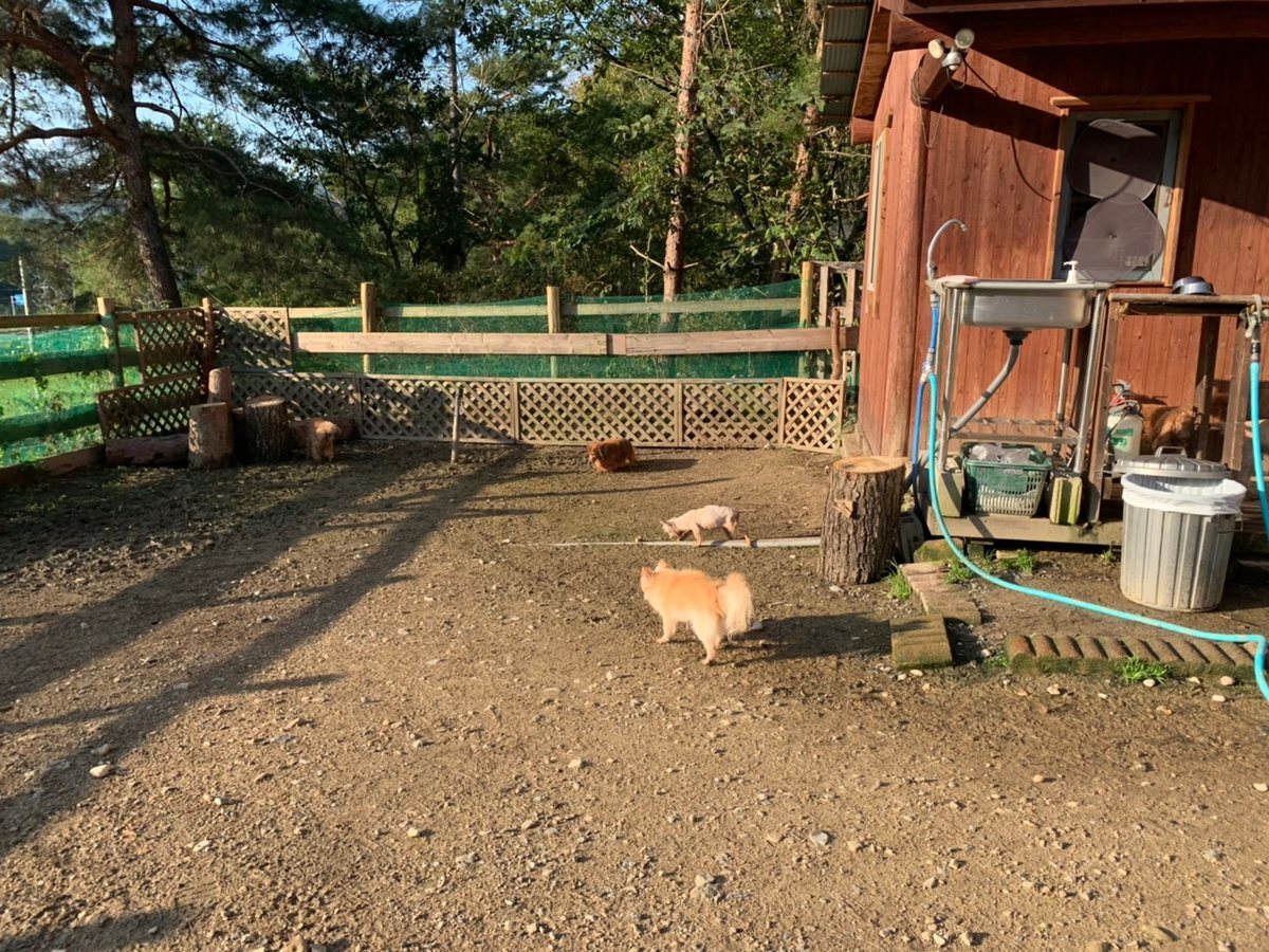 f:id:roukenhome-ann:20191027062810j:plain