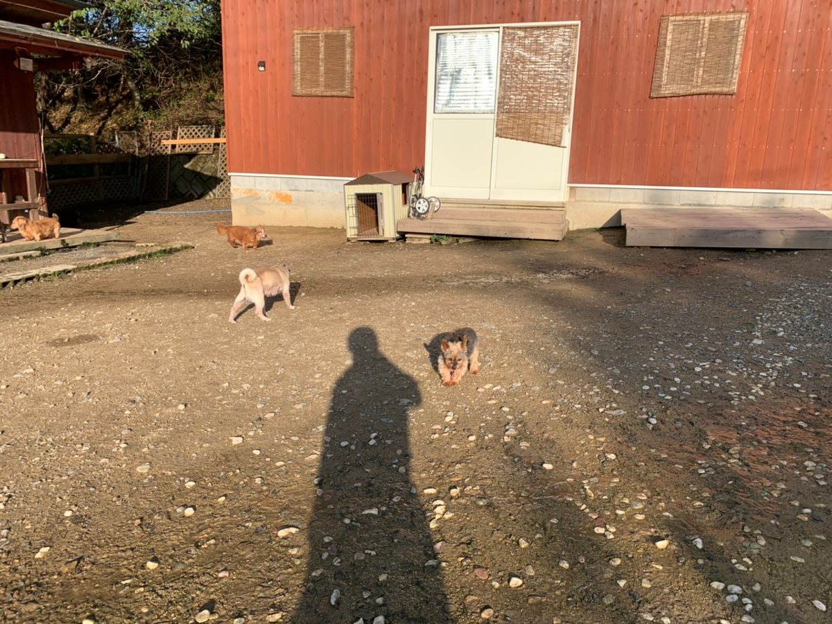 f:id:roukenhome-ann:20191027062819j:plain