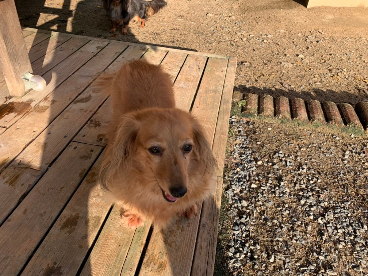 f:id:roukenhome-ann:20191027063806j:plain