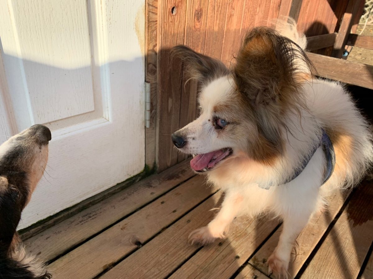 f:id:roukenhome-ann:20191027063814j:plain