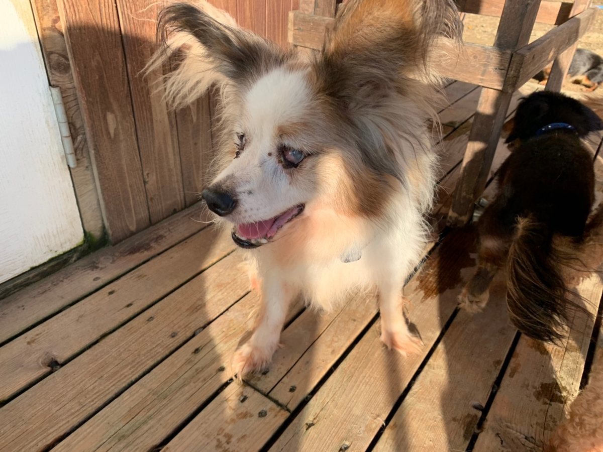f:id:roukenhome-ann:20191027063821j:plain