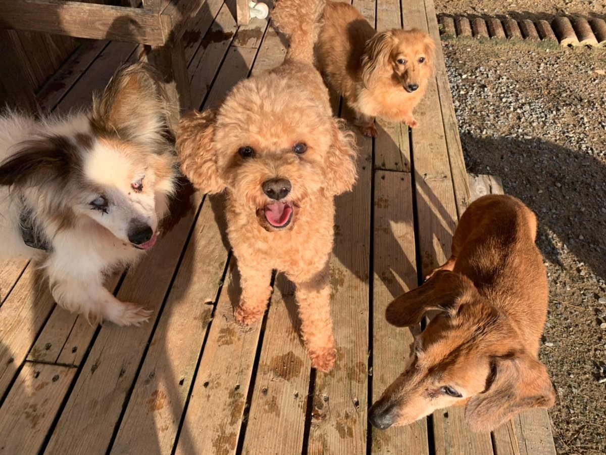 f:id:roukenhome-ann:20191027063831j:plain
