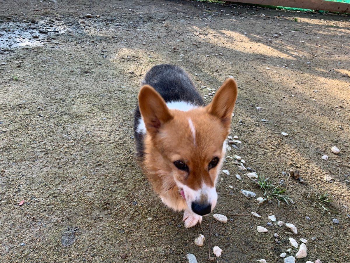 f:id:roukenhome-ann:20191027063841j:plain