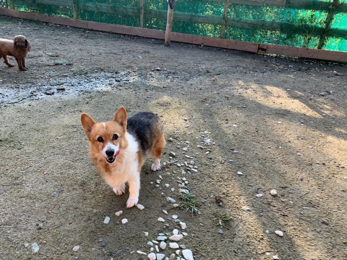 f:id:roukenhome-ann:20191027063854j:plain