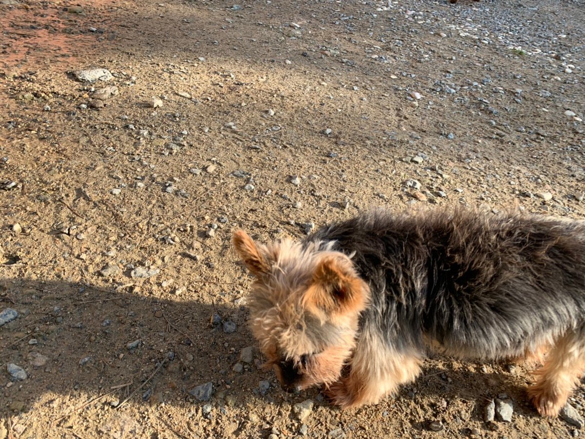 f:id:roukenhome-ann:20191027063904j:plain