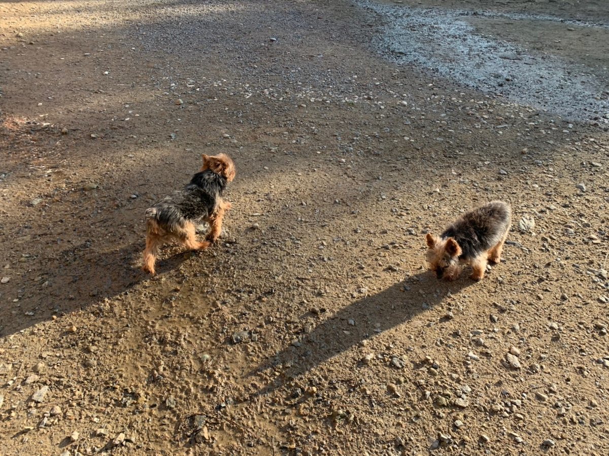 f:id:roukenhome-ann:20191027063916j:plain