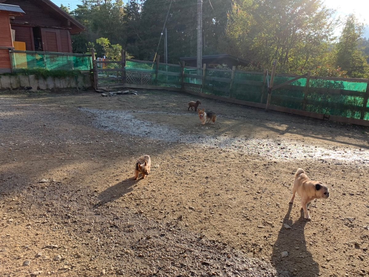 f:id:roukenhome-ann:20191027063928j:plain