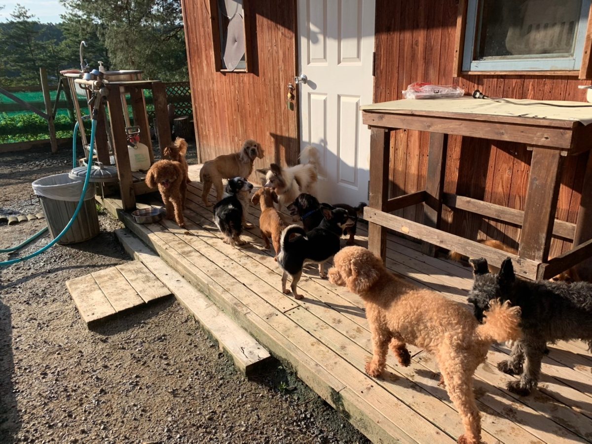 f:id:roukenhome-ann:20191027063936j:plain