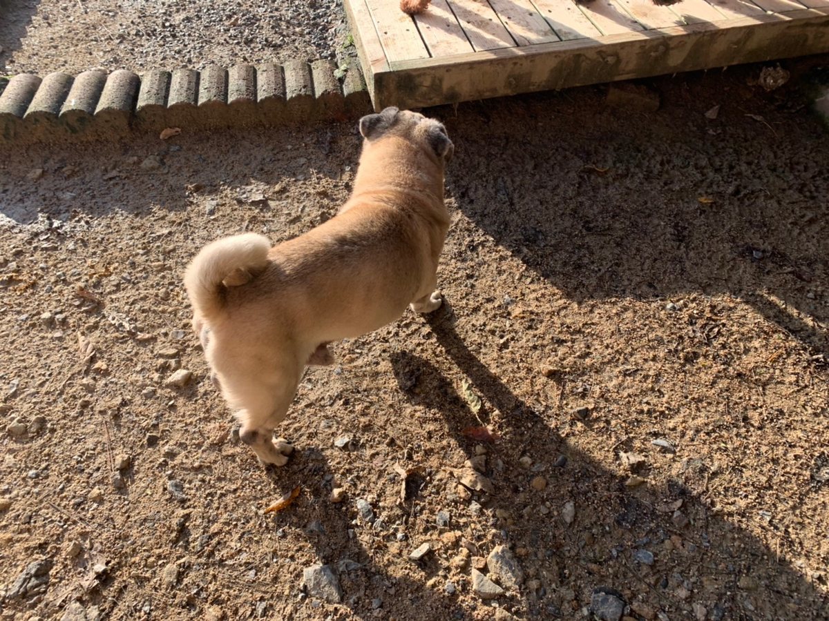 f:id:roukenhome-ann:20191027063949j:plain