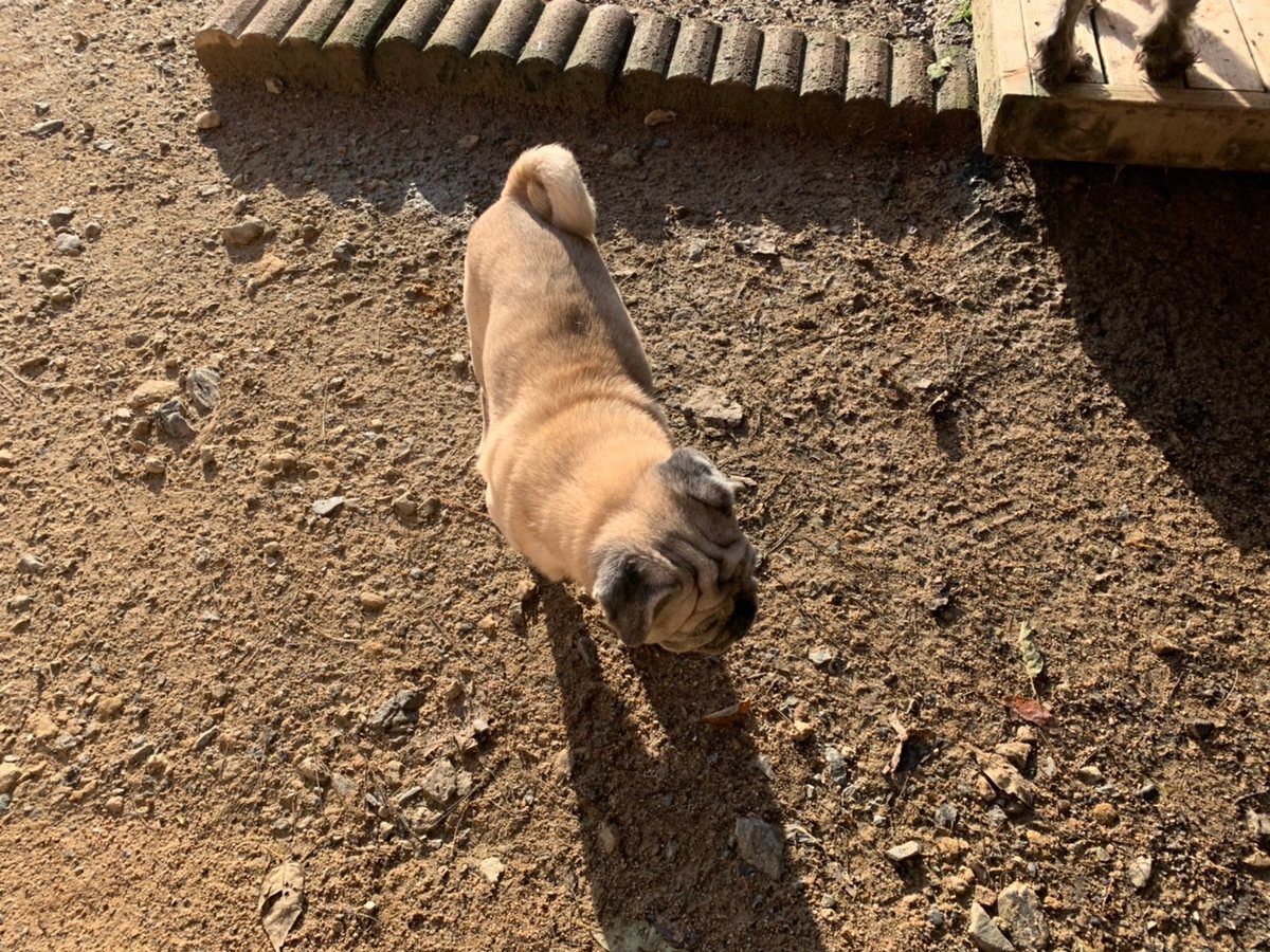 f:id:roukenhome-ann:20191027063959j:plain