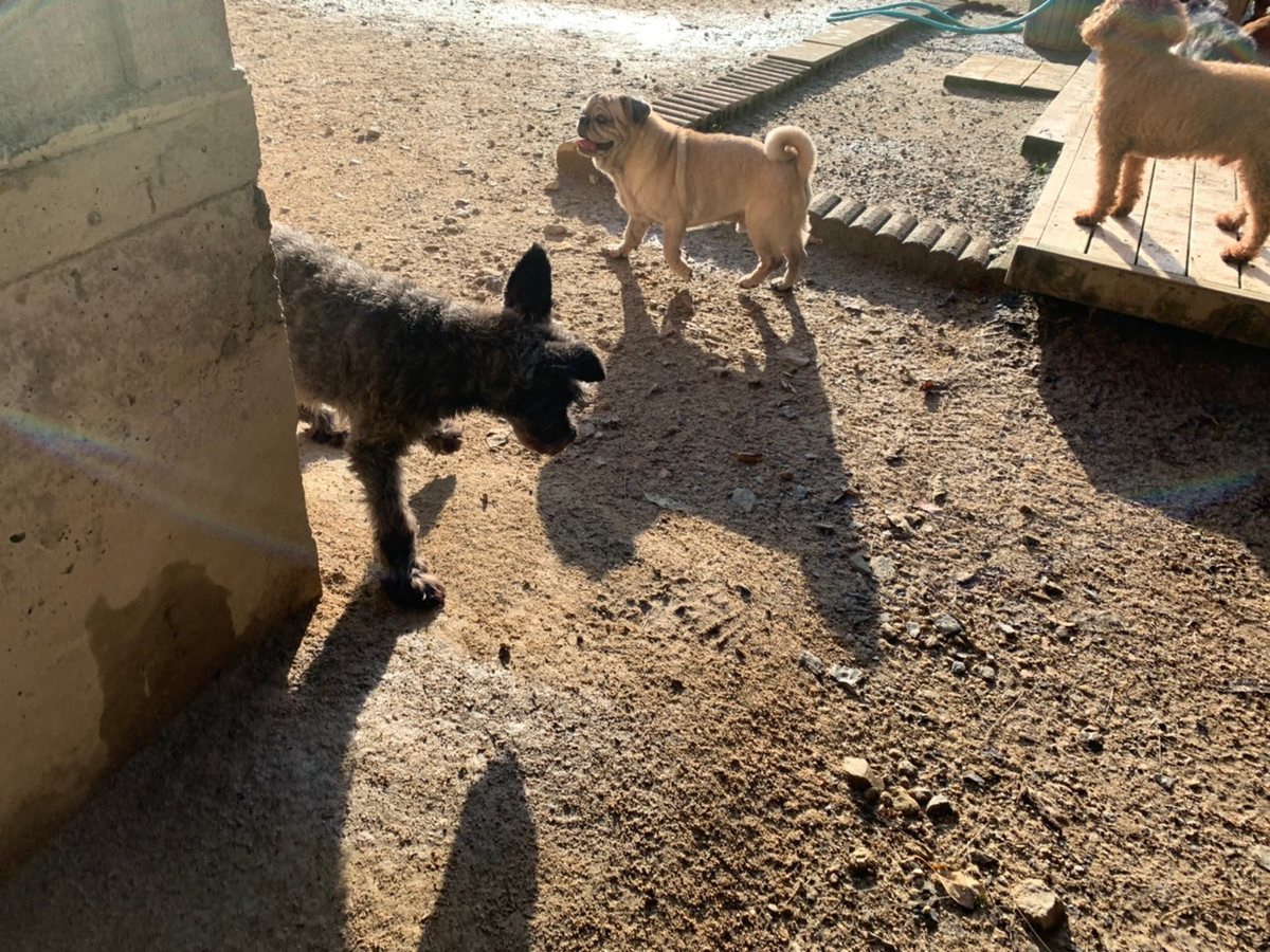 f:id:roukenhome-ann:20191027064010j:plain