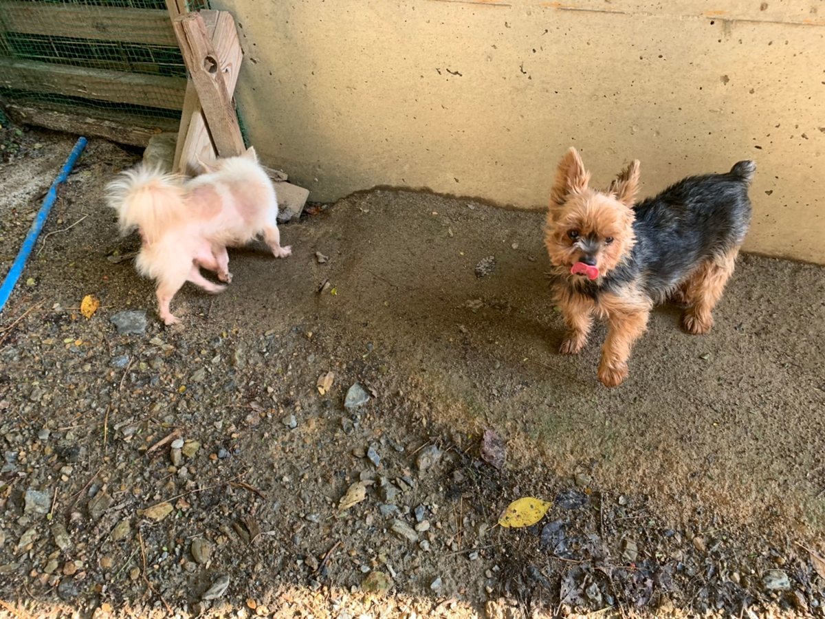 f:id:roukenhome-ann:20191027064021j:plain