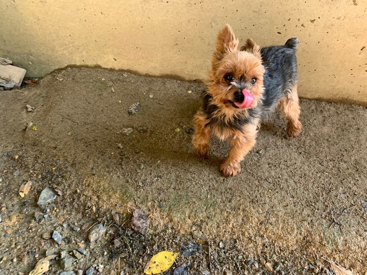 f:id:roukenhome-ann:20191027064031j:plain
