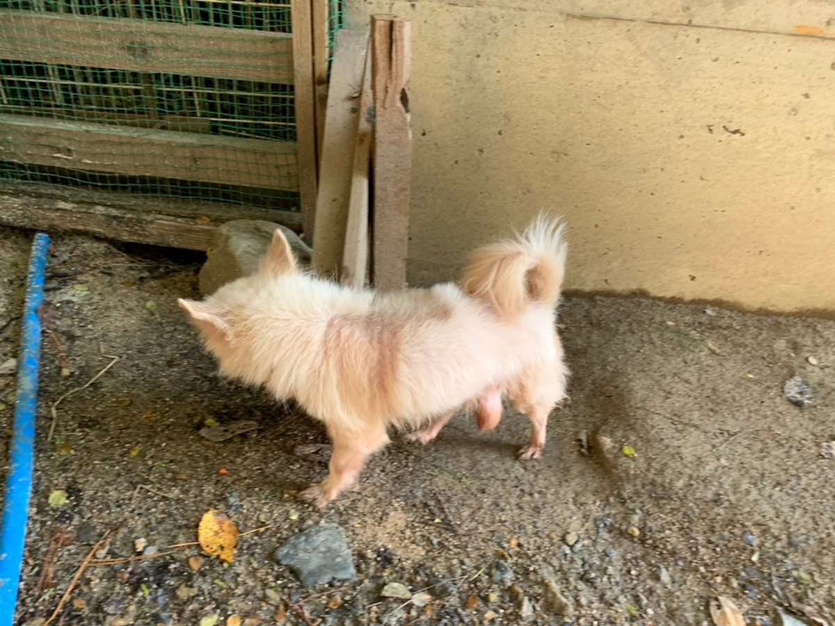 f:id:roukenhome-ann:20191027064049j:plain