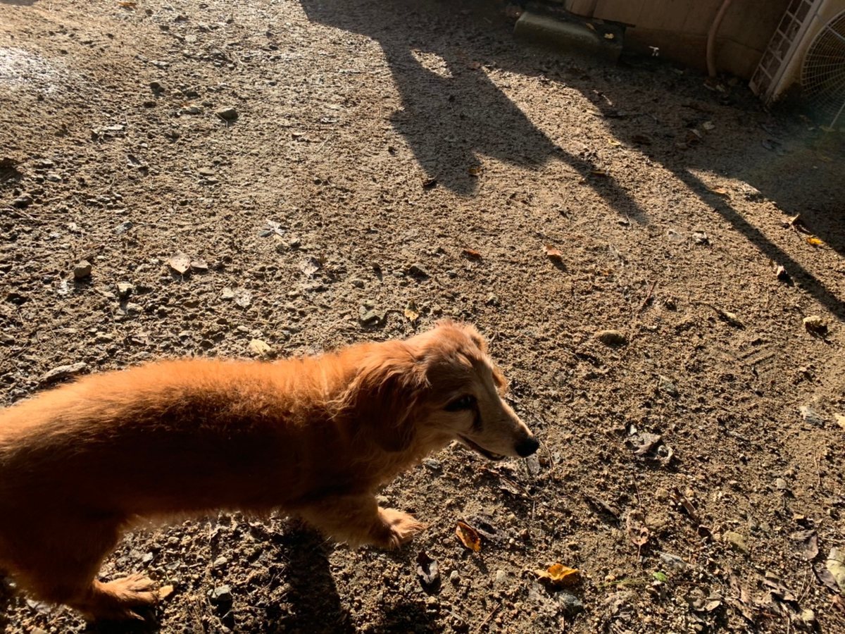 f:id:roukenhome-ann:20191027064105j:plain