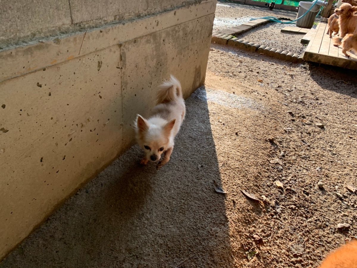 f:id:roukenhome-ann:20191027064124j:plain