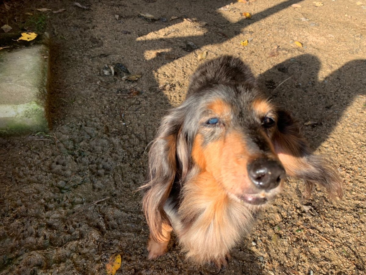 f:id:roukenhome-ann:20191027064201j:plain