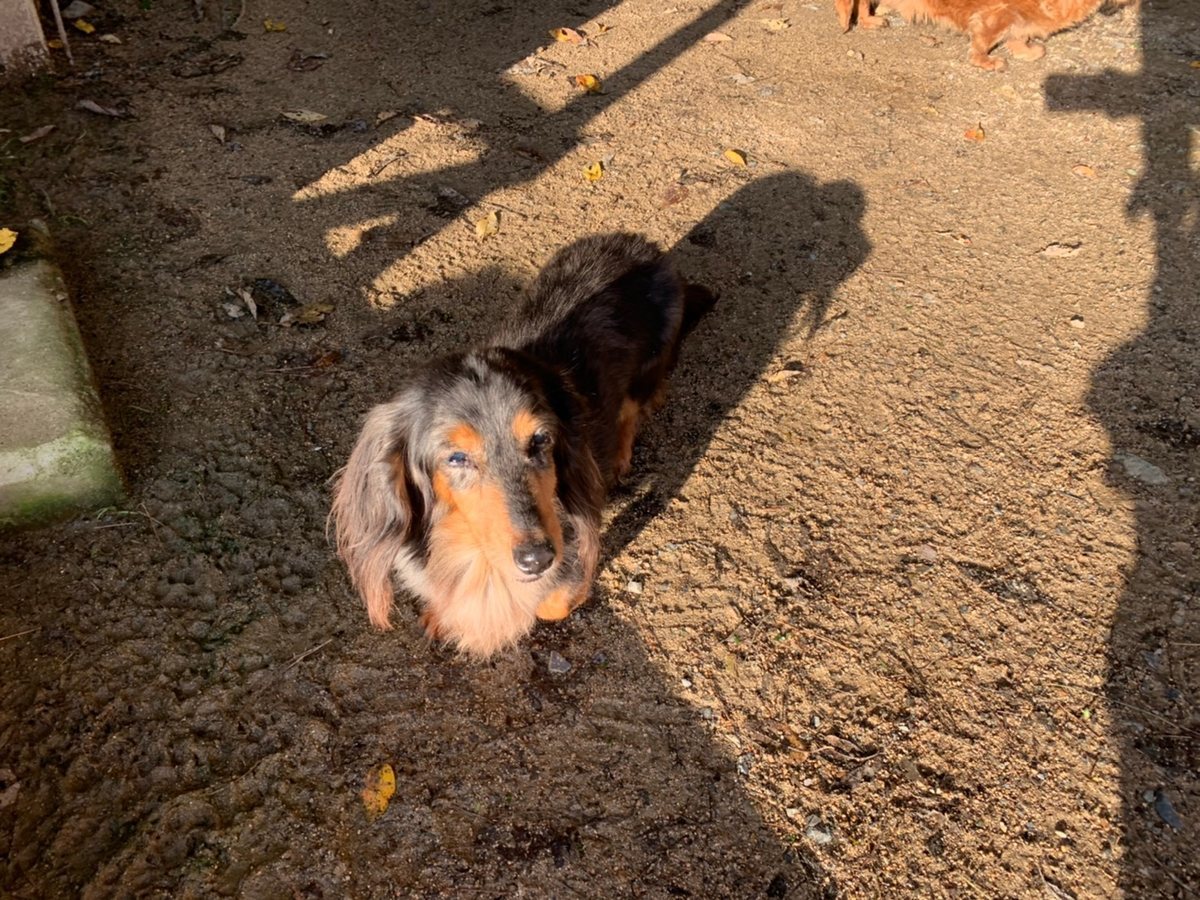 f:id:roukenhome-ann:20191027064212j:plain