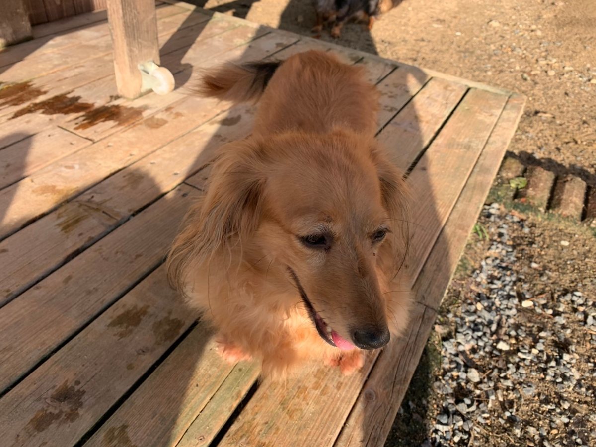f:id:roukenhome-ann:20191027064227j:plain