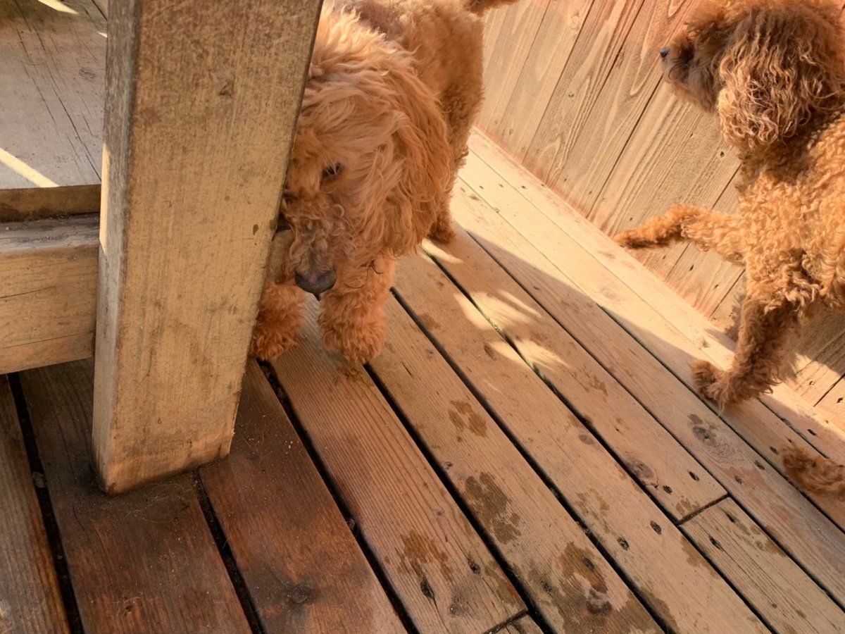 f:id:roukenhome-ann:20191027064318j:plain