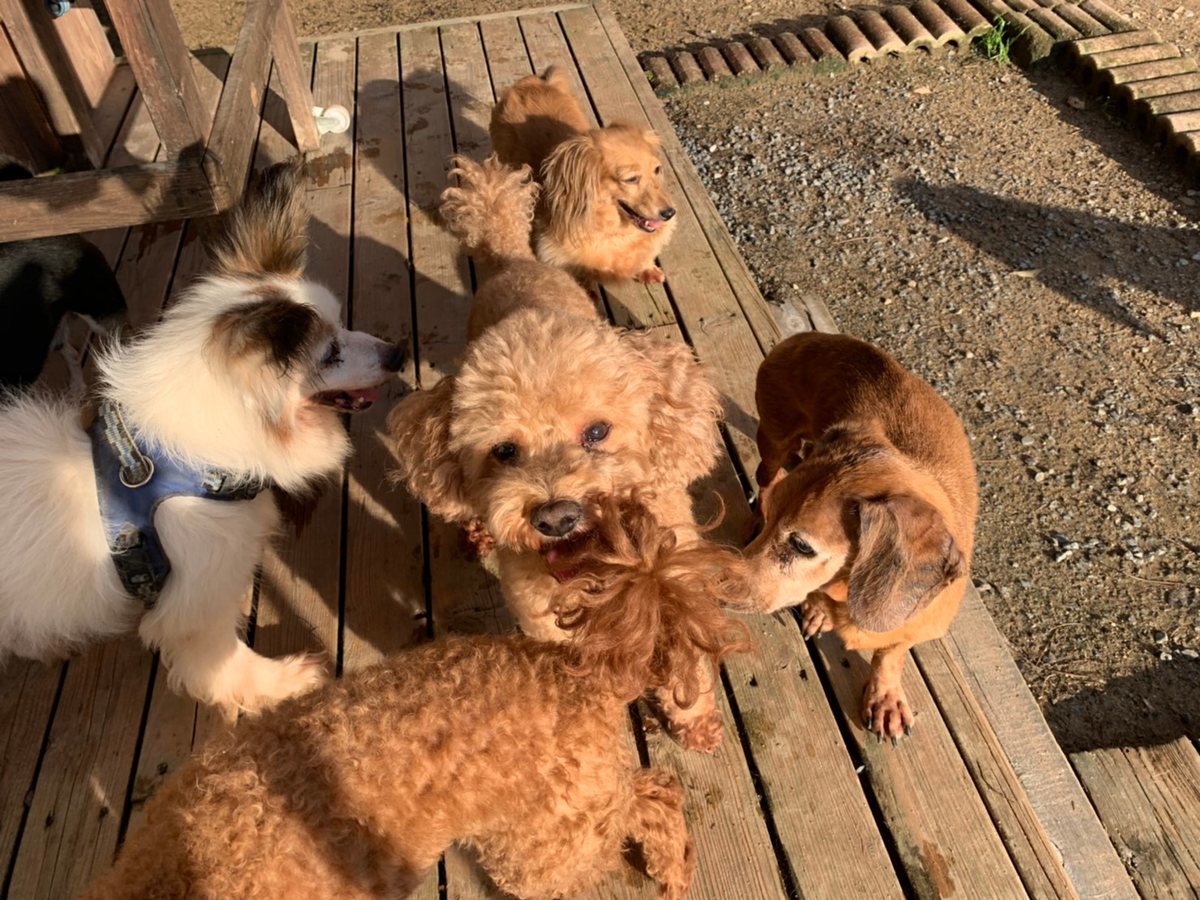 f:id:roukenhome-ann:20191027064332j:plain