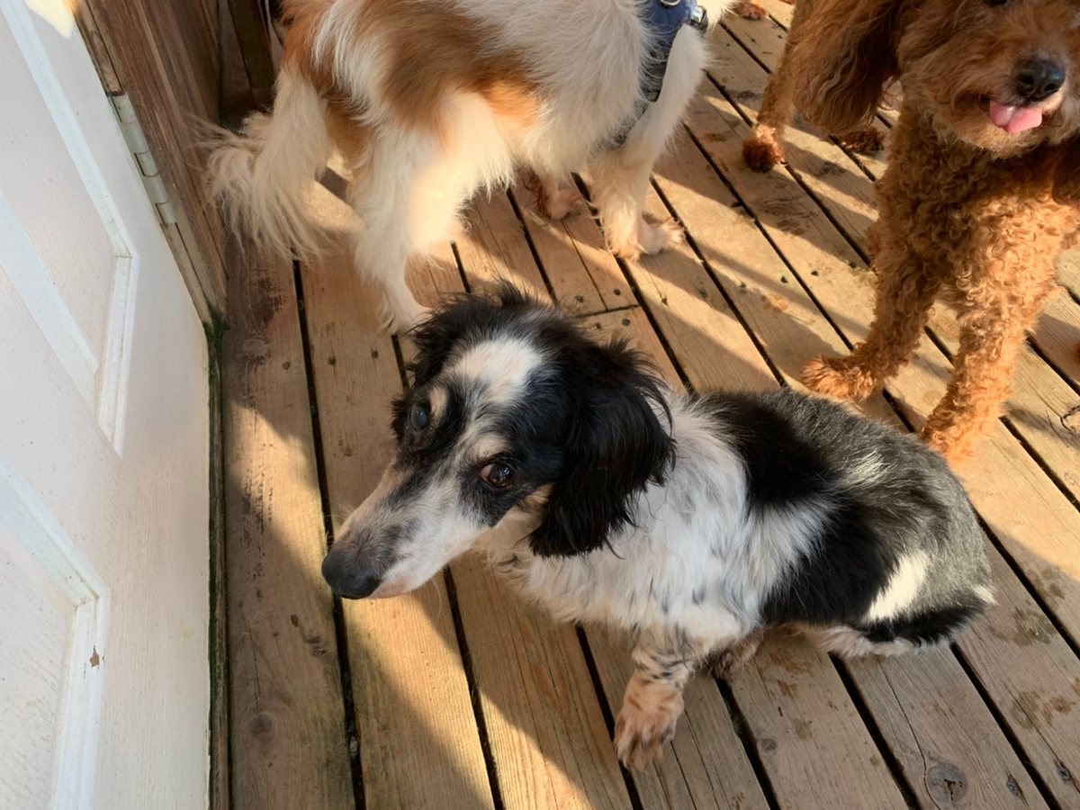 f:id:roukenhome-ann:20191027064342j:plain