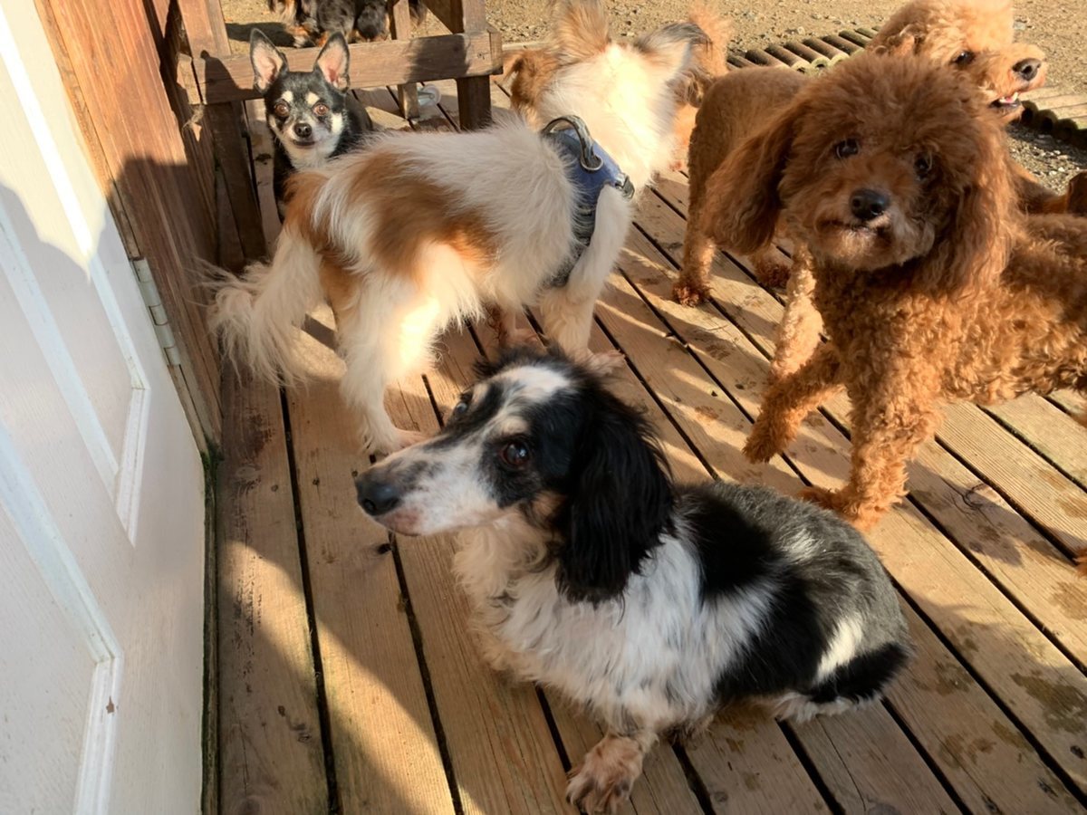 f:id:roukenhome-ann:20191027064359j:plain