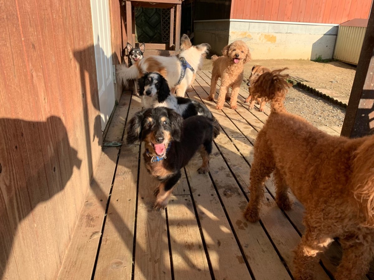 f:id:roukenhome-ann:20191027064408j:plain