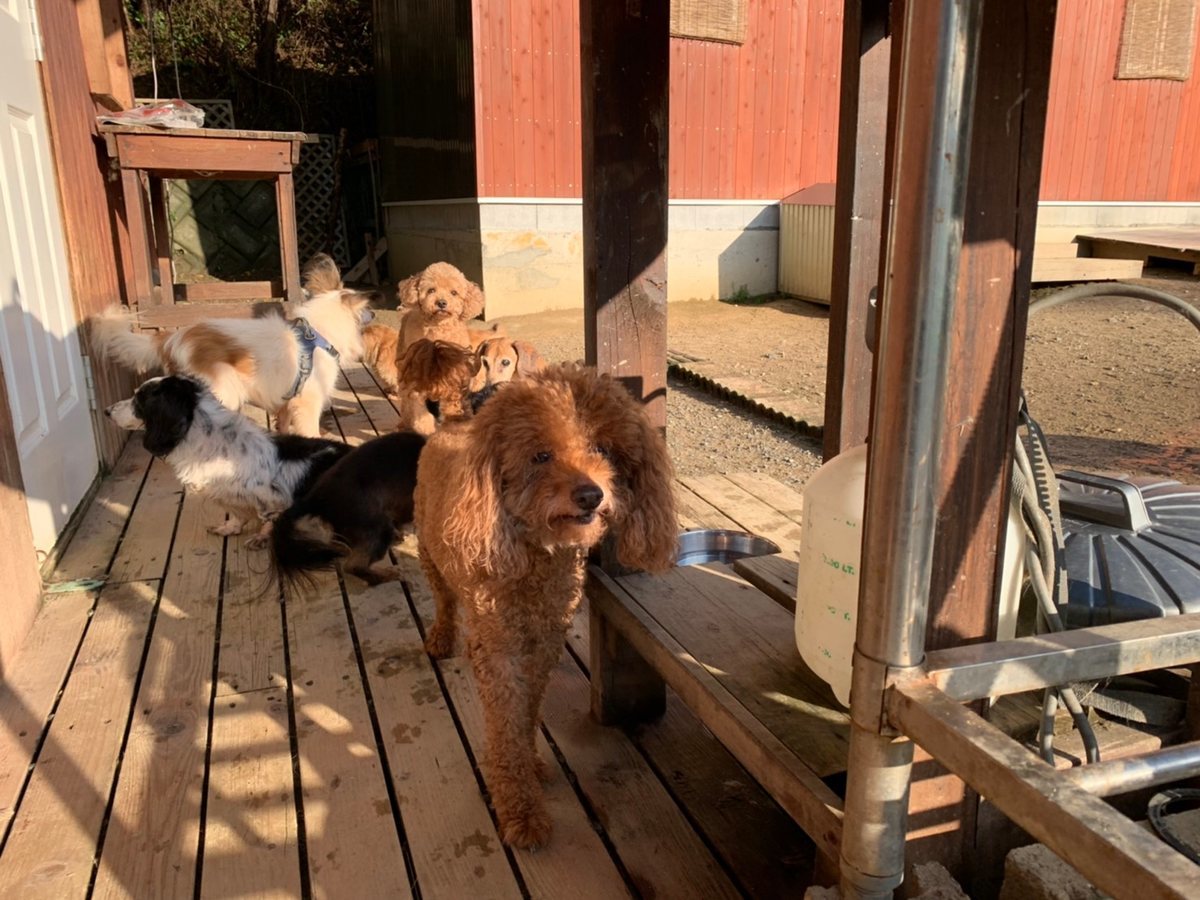 f:id:roukenhome-ann:20191027064429j:plain