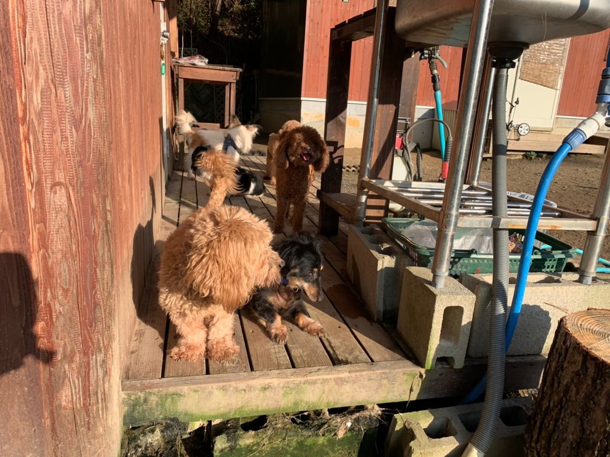 f:id:roukenhome-ann:20191027064439j:plain