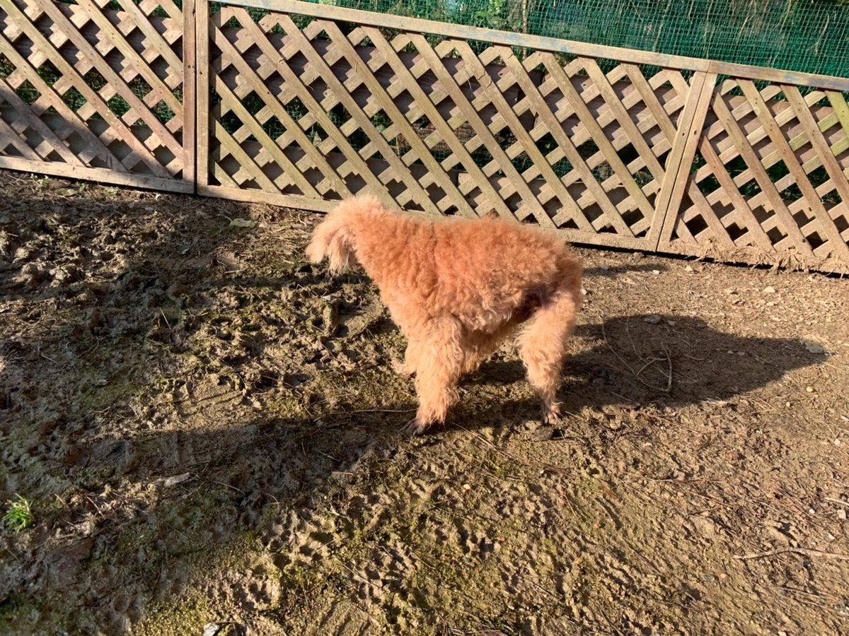 f:id:roukenhome-ann:20191027064456j:plain