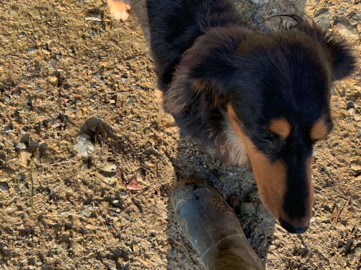 f:id:roukenhome-ann:20191027064528j:plain