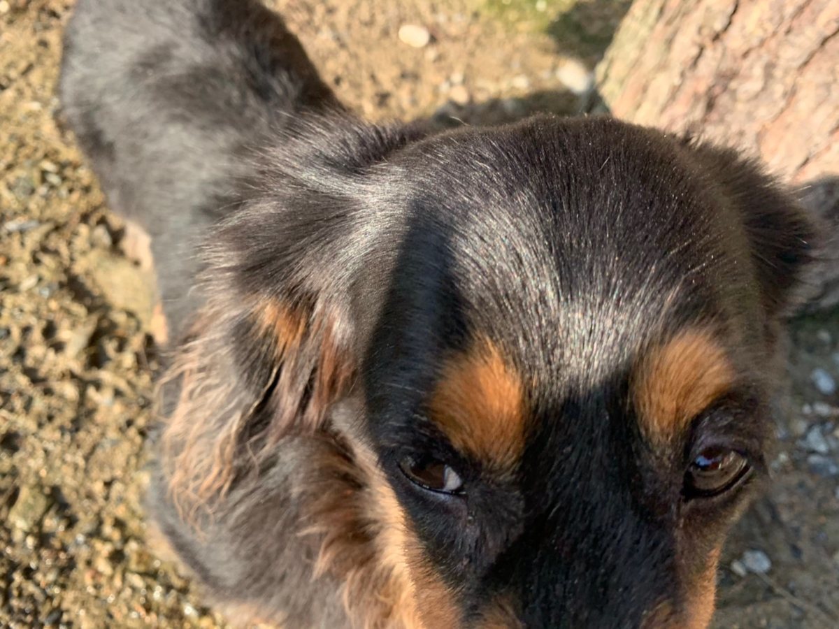 f:id:roukenhome-ann:20191027064538j:plain
