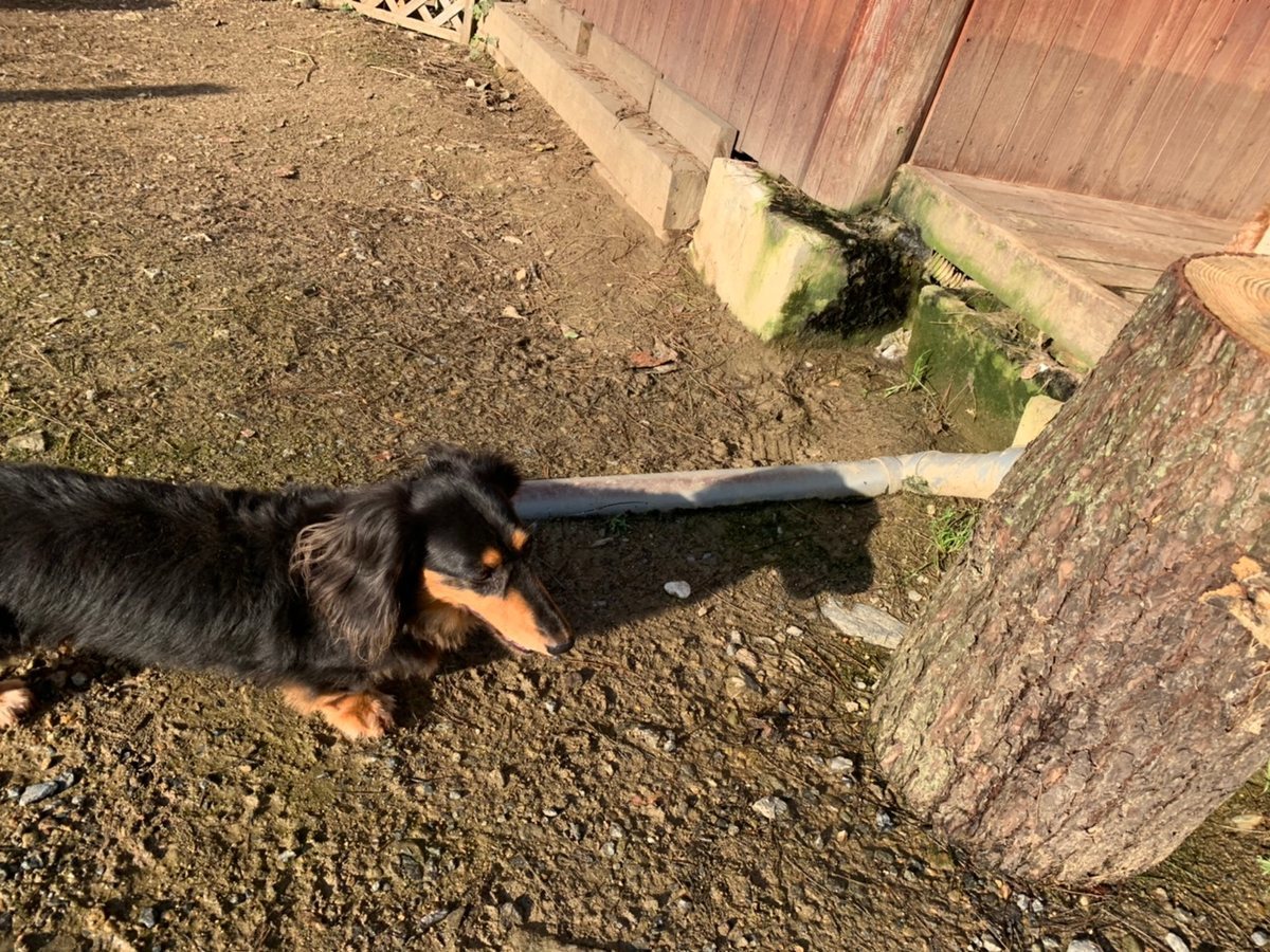 f:id:roukenhome-ann:20191027064551j:plain