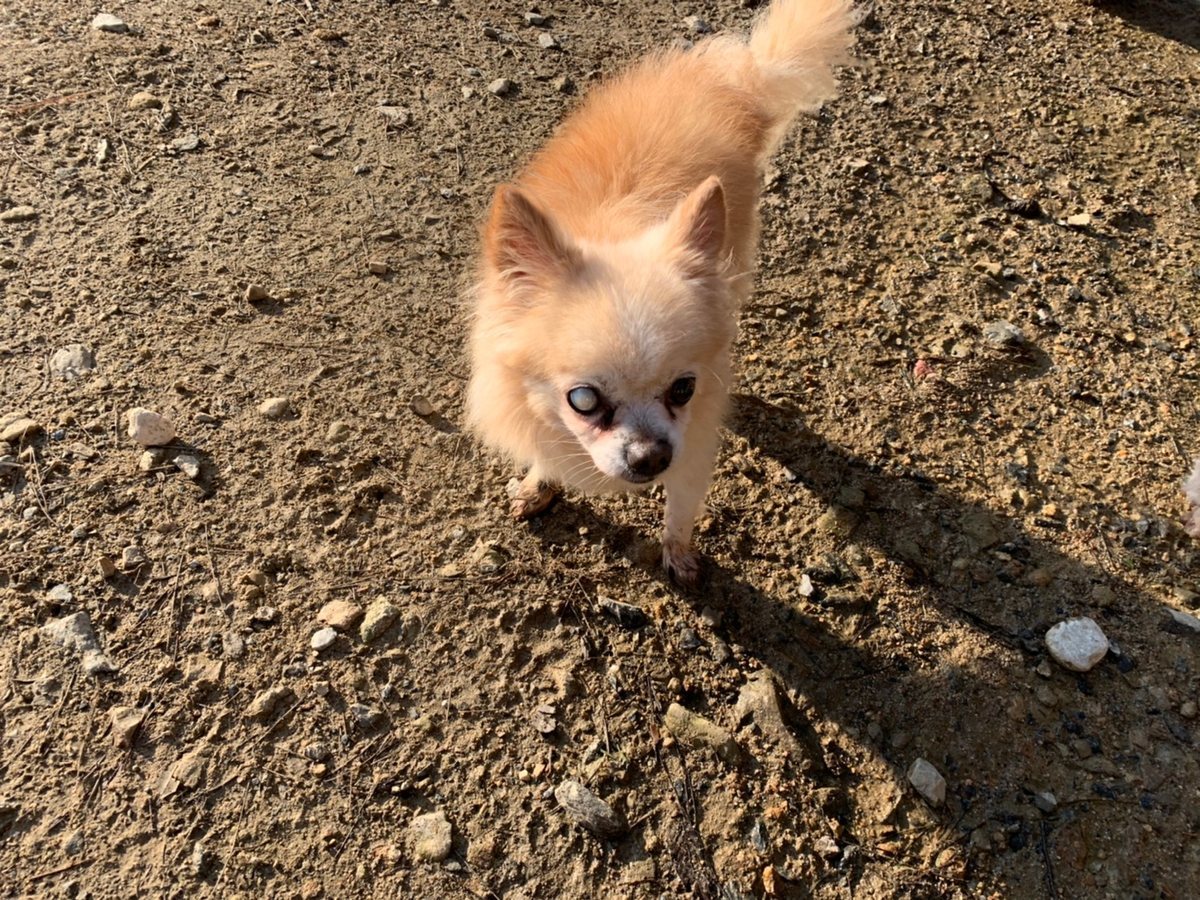 f:id:roukenhome-ann:20191027064611j:plain