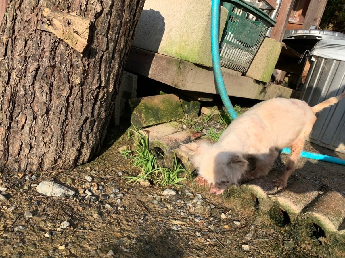 f:id:roukenhome-ann:20191027064642j:plain