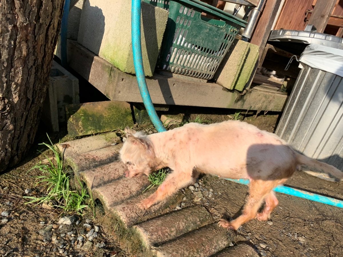 f:id:roukenhome-ann:20191027064654j:plain