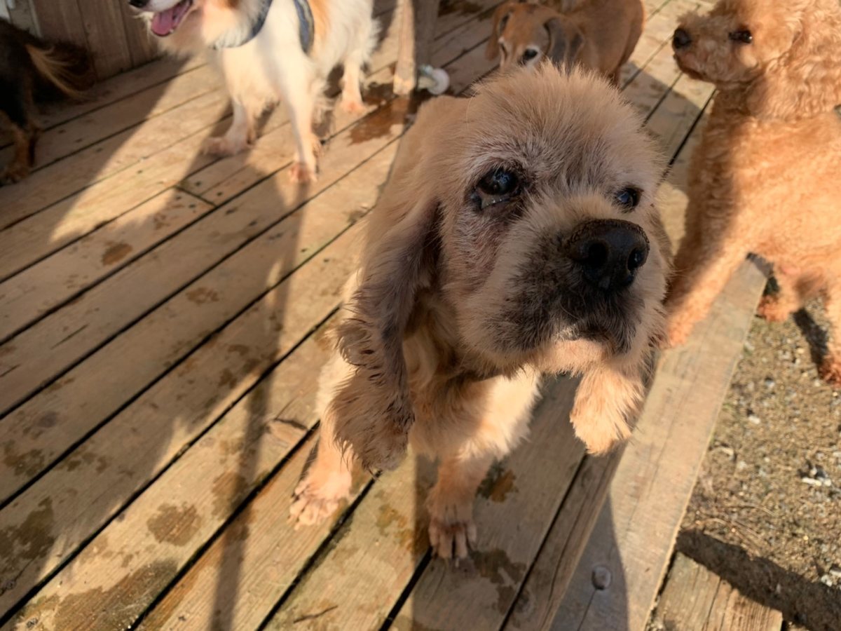 f:id:roukenhome-ann:20191027064701j:plain