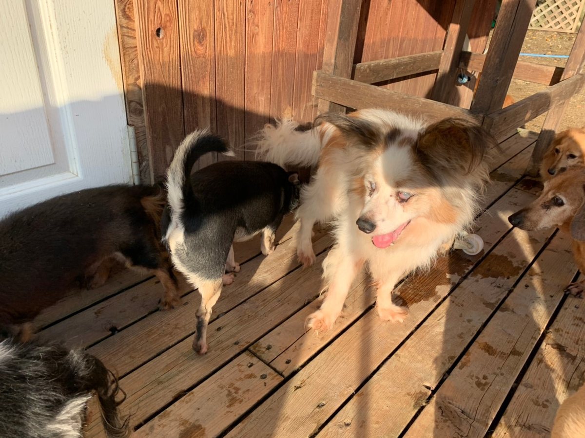 f:id:roukenhome-ann:20191027064715j:plain
